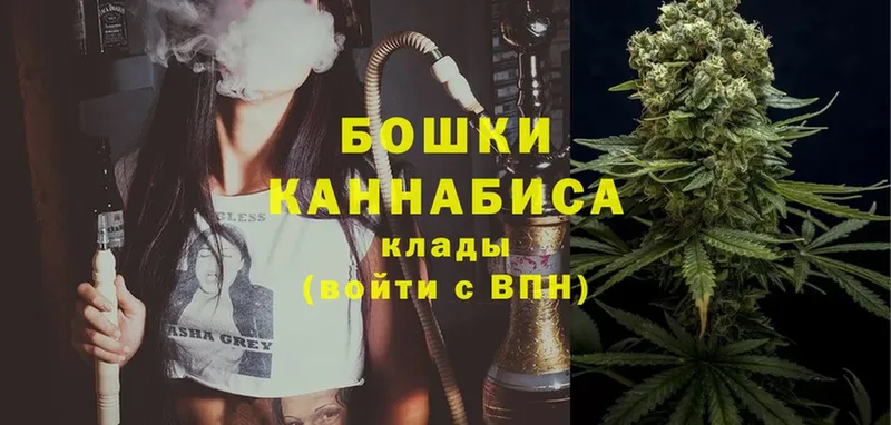 купить наркотик  Гороховец  Конопля OG Kush 